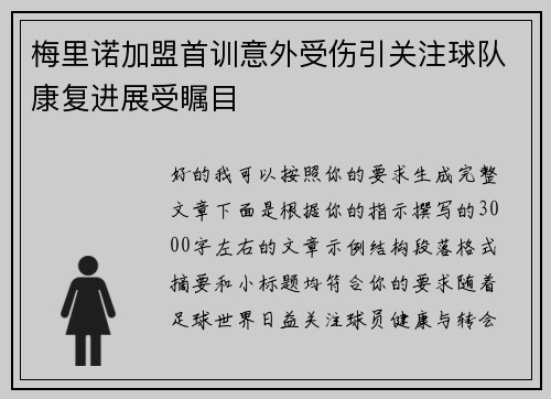 梅里诺加盟首训意外受伤引关注球队康复进展受瞩目